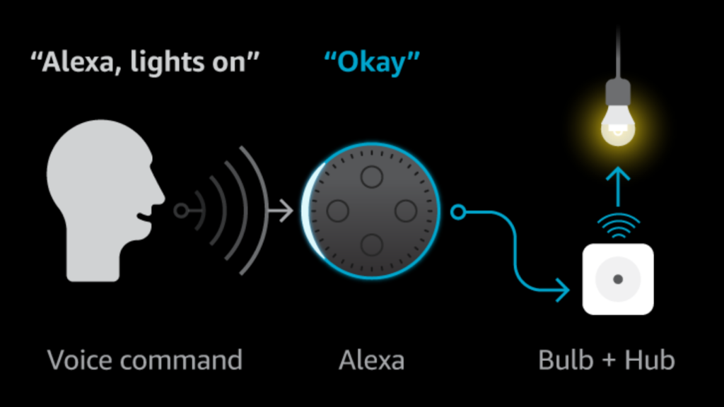 Connect Sengled Bulb to Alexa