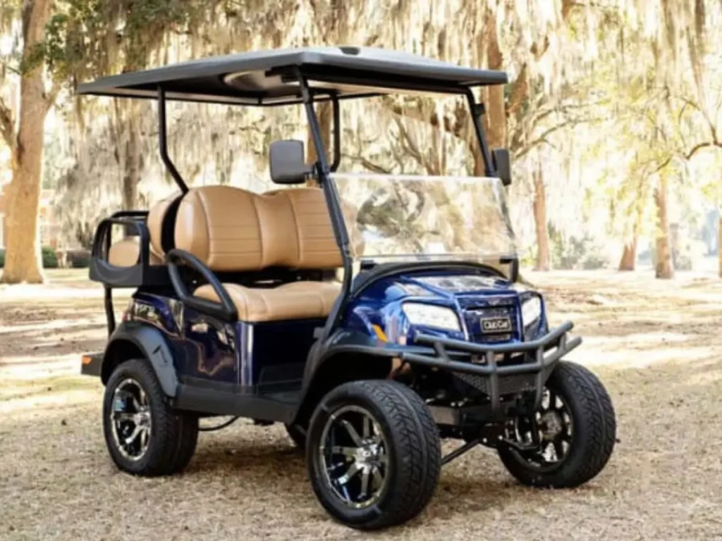 Why are golf cart batteries so expensive?